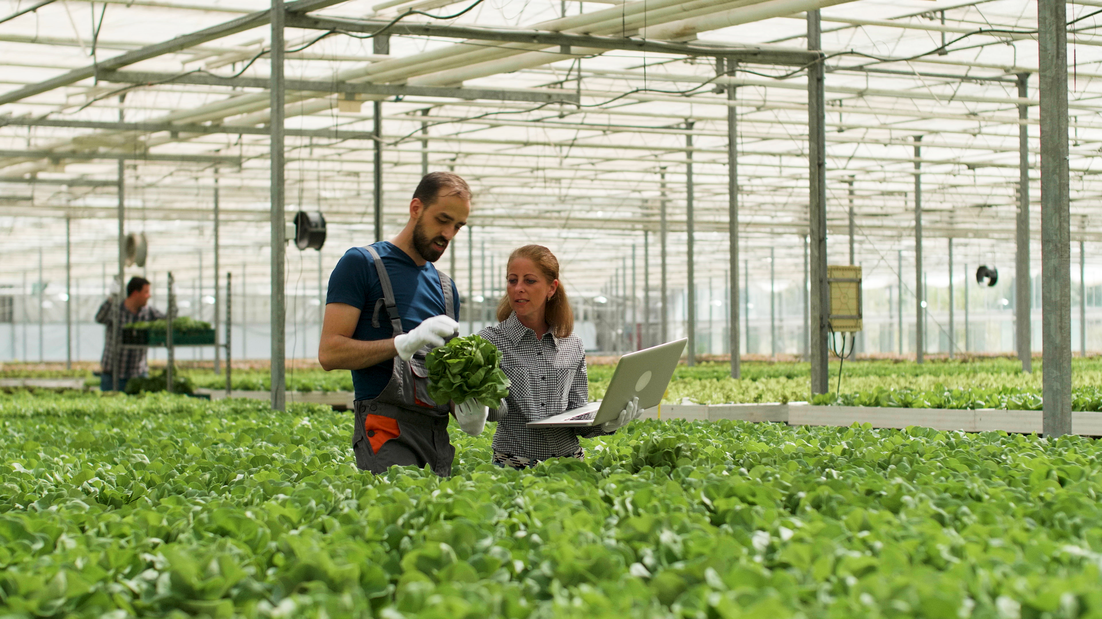 indian-iot-market-applications-benefits-of-iot-in-industries-agriculture