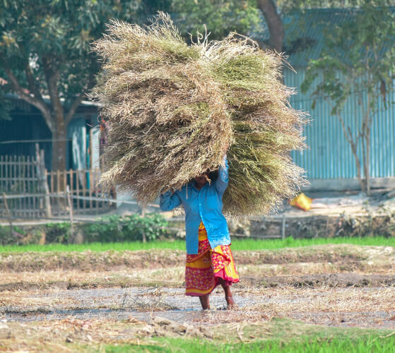 Post-COVID, States refocusing on their rural employment schemes