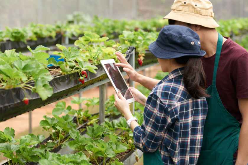 Conducting an impact assessment study of knowledge videos launched by Agri solutions