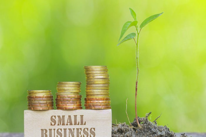 Promote availability and reach of easy credit lines for MSMEs