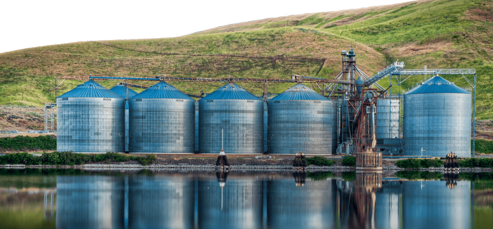 biomass-market-in-india