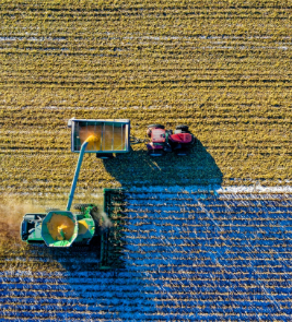 agriculture-and-food