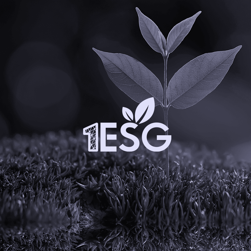 1ESG