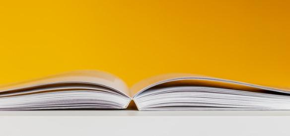 Catalog gap assessment