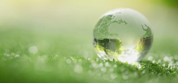 ESG standards formulation