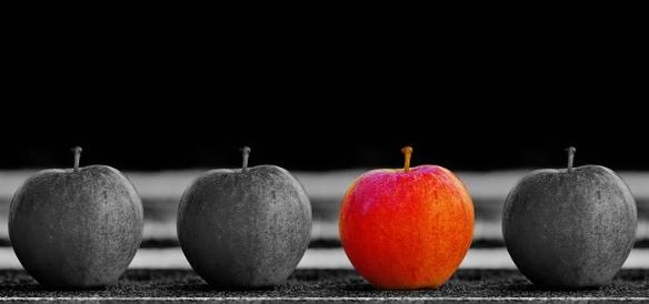 Product benchmarking